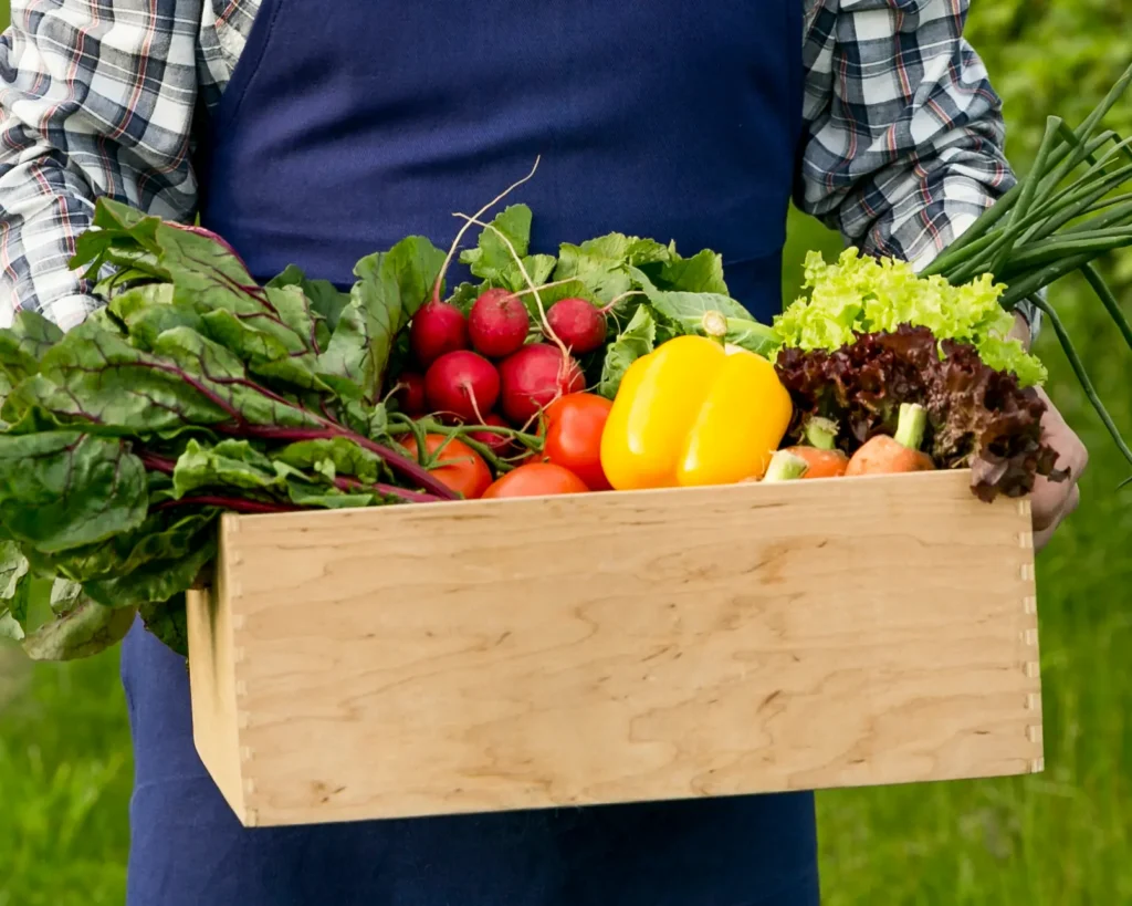 GoWitDeFlo farm produce